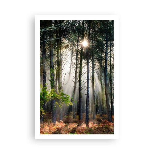 Poszter - Az erdő szépsége - 61x91 cm