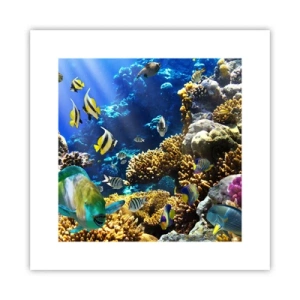 Poszter - Nagy forgalom a nyaraló ösvényen - 30x30 cm