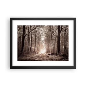 Poszter fehér keretben - Erdei katedrális - 40x30 cm
