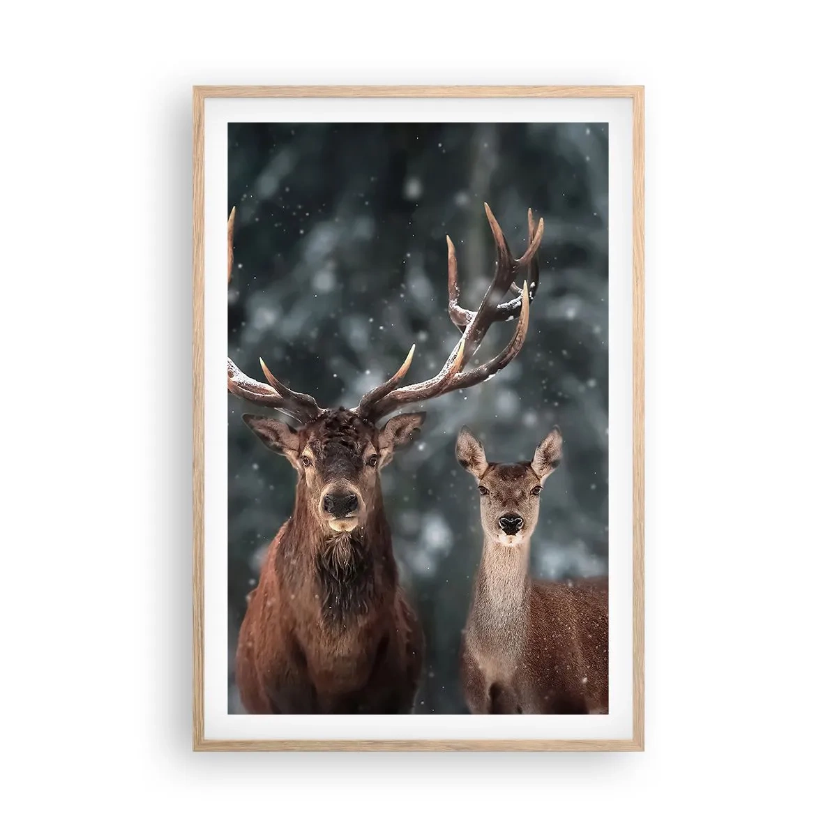 Poszter világos tölgy keretben - Az erdő ura a feleségével - 61x91 cm