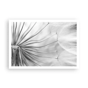 Poszter - Pitypang, papírsárkány - 100x70 cm