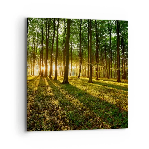 Vászonkép - Minden tavasz fotója - 70x70 cm
