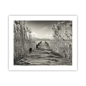 Poszter - A fű csendjében - 50x40 cm