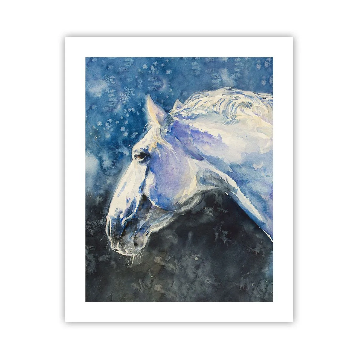 Poszter - Portré kék fényben - 40x50 cm