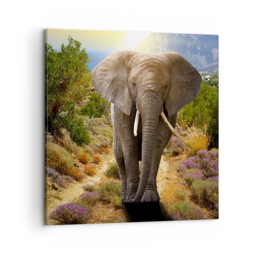 Vászonkép - Így nézett ki Eden - 50x50 cm