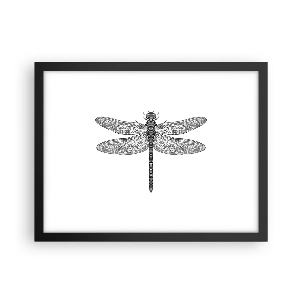 Poszter fehér keretben - A természet precizitása - 40x30 cm