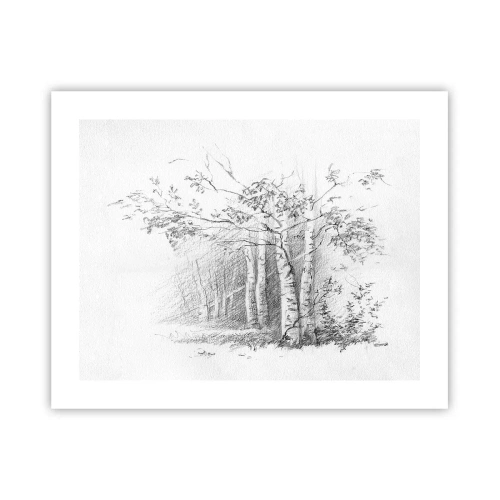 Poszter - A nyírerdő fénye - 50x40 cm