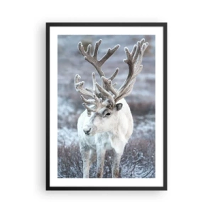 Poszter fehér keretben - Fehér rénszarvas téli tájban - 50x70cm - Portré a napon - Modern fali dekoráció nappalihoz és hálószobához ARTTOR