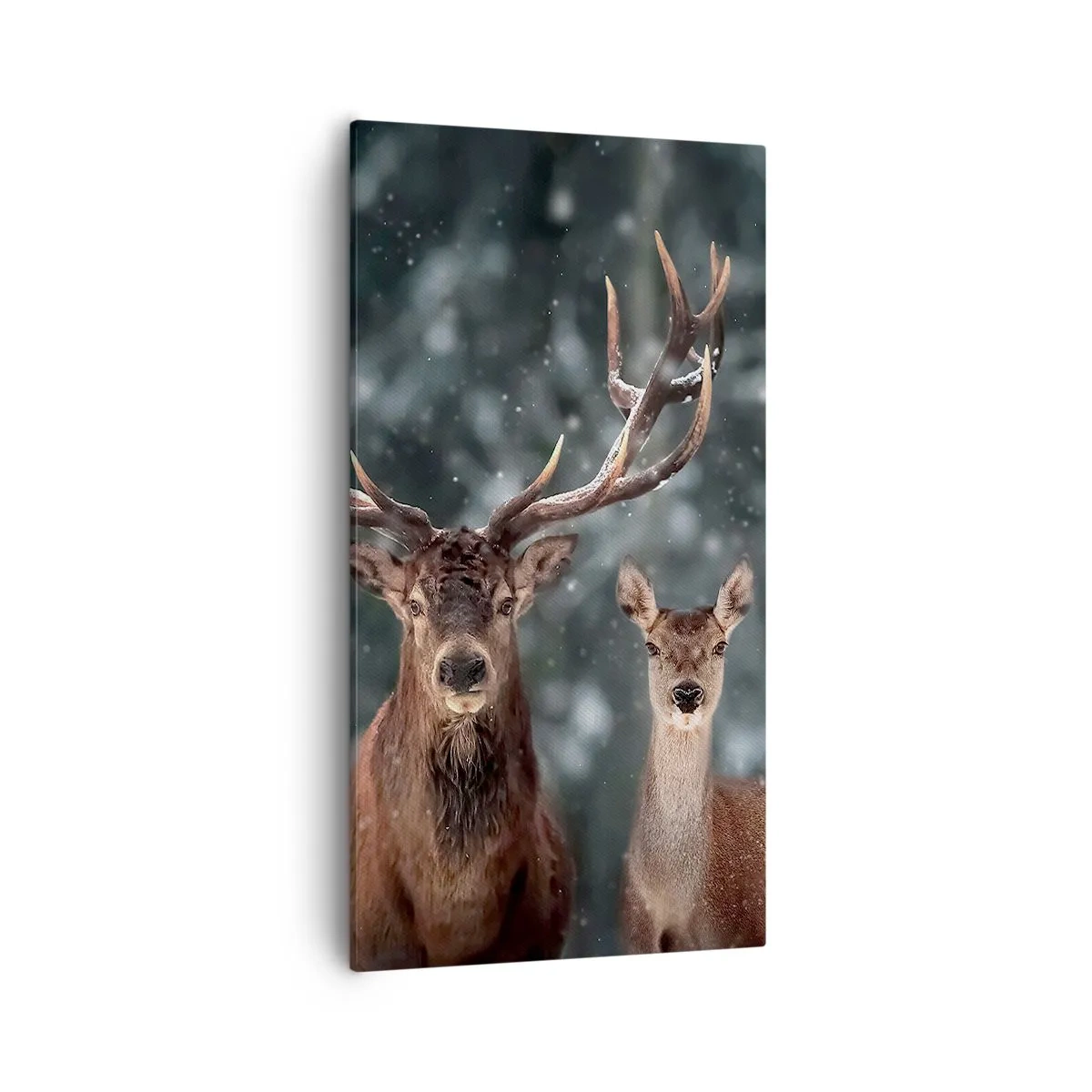 Vászonkép - Az erdő ura a feleségével - 55x100 cm