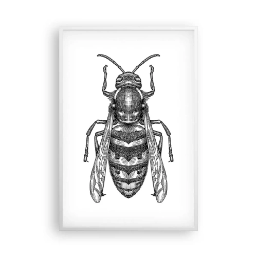 Poszter fekete keretben - Egy rovar bolygóról - 61x91 cm