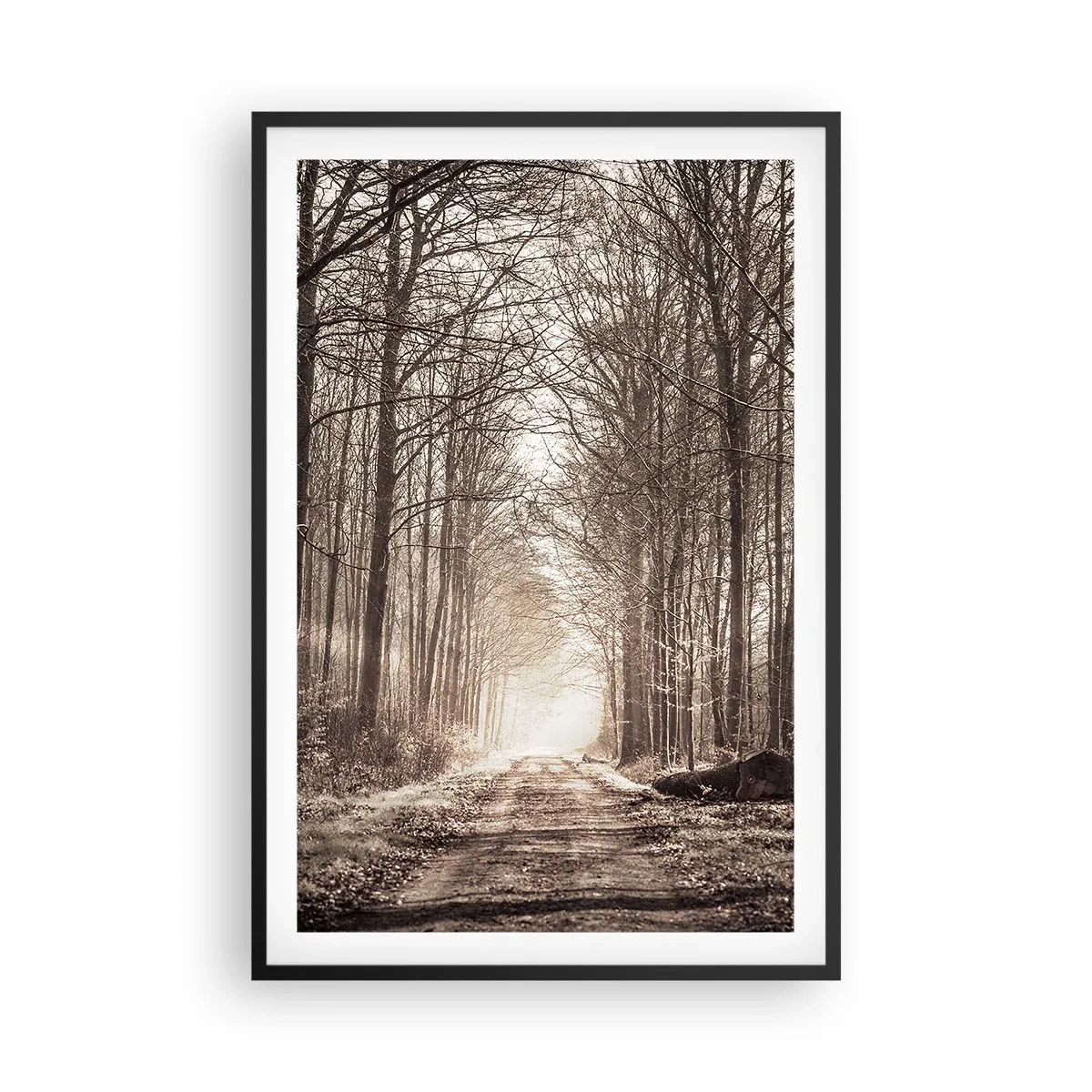 Poszter fehér keretben - Erdei katedrális - 61x91 cm