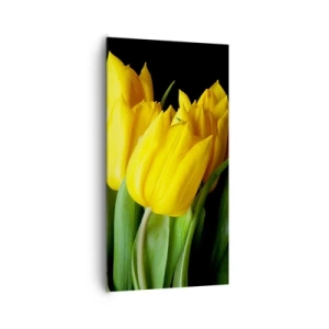 Vászonkép - Tiszta napból készült - 65x120 cm