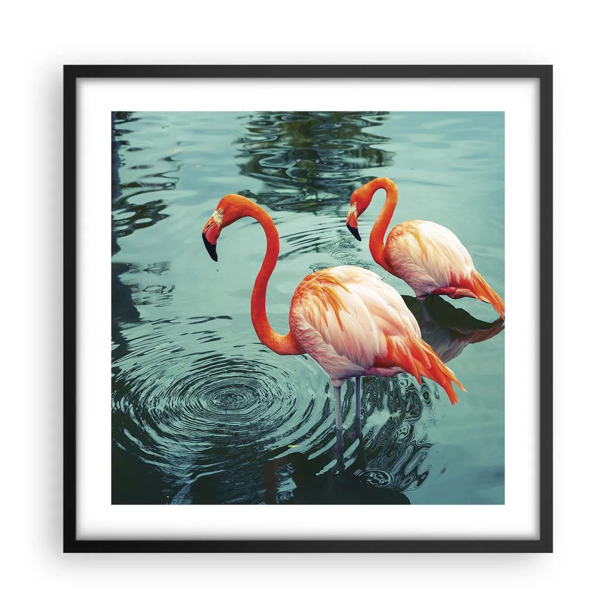 Poszter fehér keretben - Most divatban vagyunk - 50x50 cm