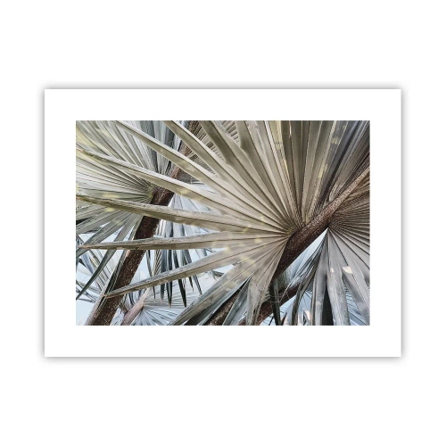 Poszter - Legyező a trópusokon - 40x30 cm