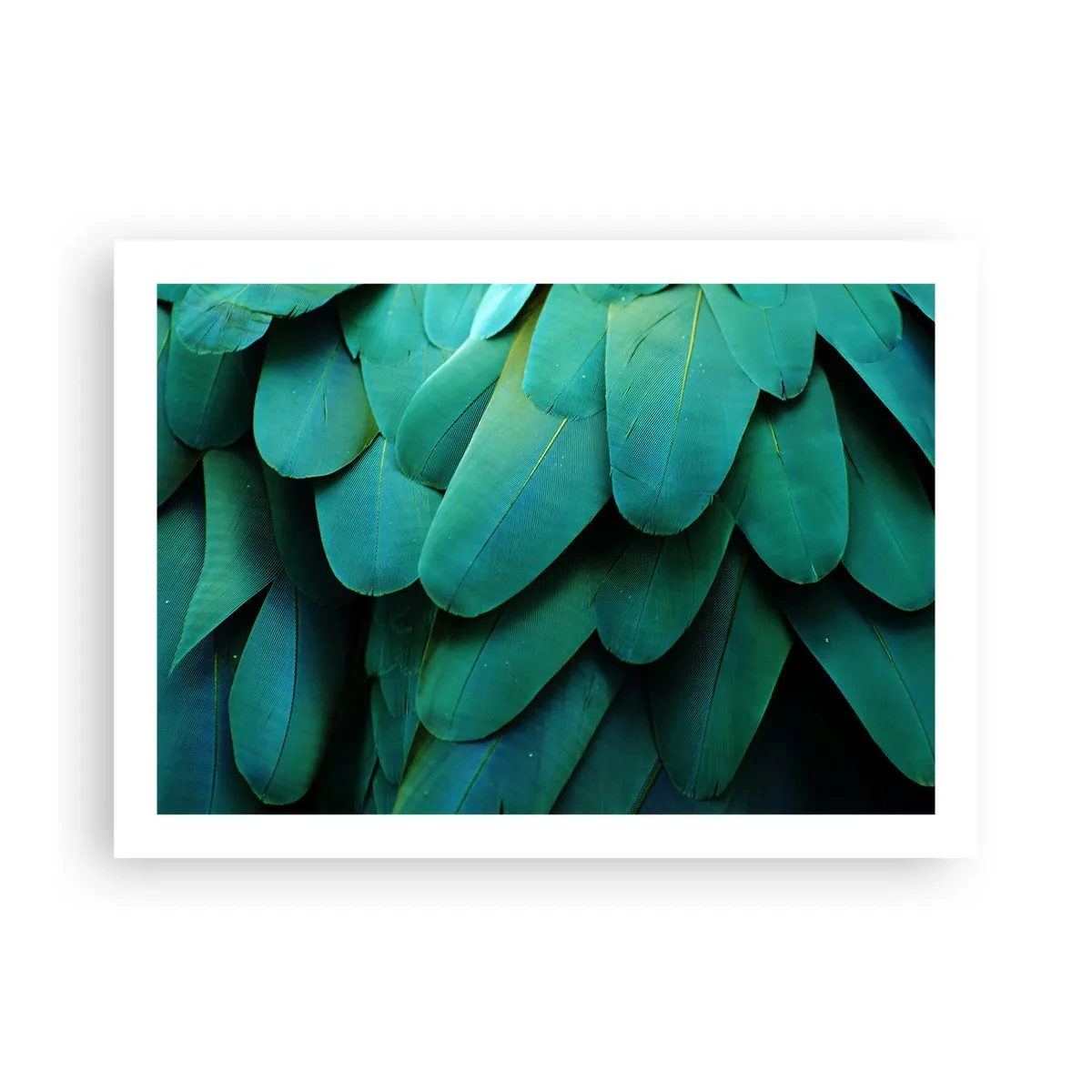 Poszter - A papagájtermészet precizitása - 70x50 cm