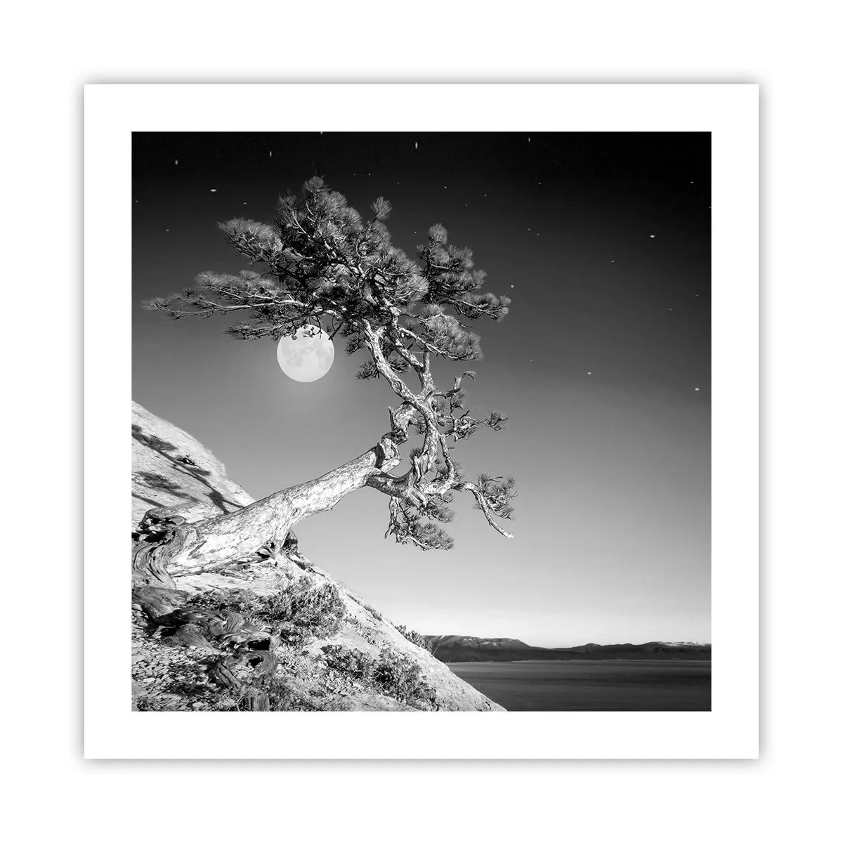 Poszter - Győztes harcos - 50x50 cm