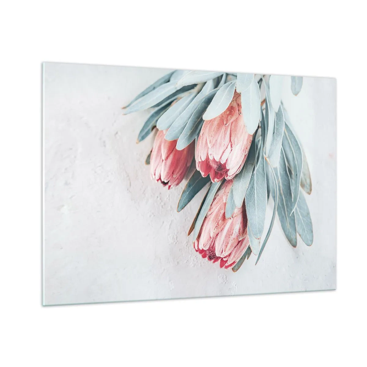 Üveg kép - Szégyellve saját szépségüket - 100x70 cm