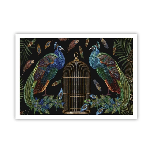 Poszter - Királyi köntösben - 100x70 cm