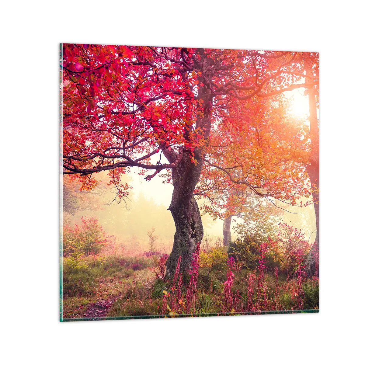 Üveg kép - Virágzás őrülete - 60x60 cm