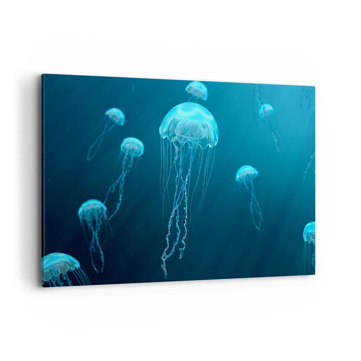 Vászonkép - Óceáni tánc - 100x70 cm