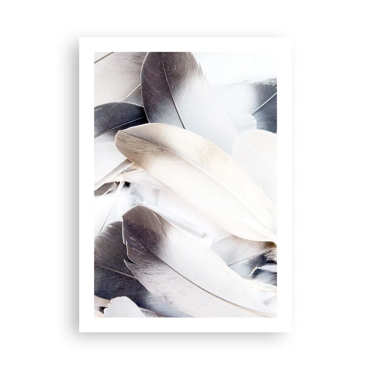 Poszter - Szinte angyali - 50x70 cm