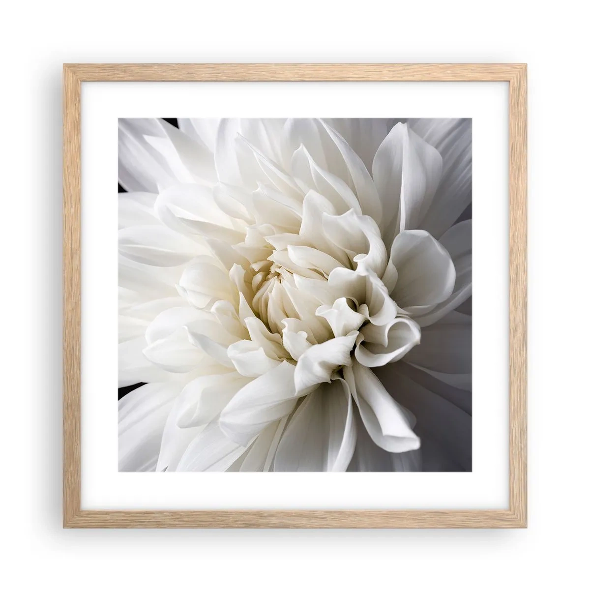 Poszter világos tölgy keretben - Menyasszony reggele - 40x40 cm