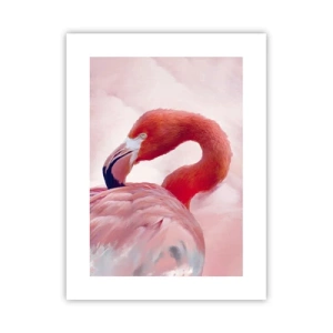 Poszter - Madári szépség - 30x40 cm