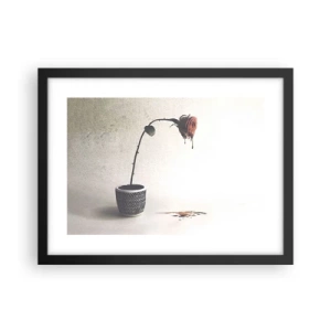 Poszter fehér keretben - Rosa dolorosa - 40x30 cm