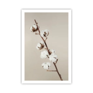 Poszter - A puhaság forrásánál - 61x91 cm