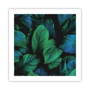 Poszter - A zöld tömegben - 50x50 cm