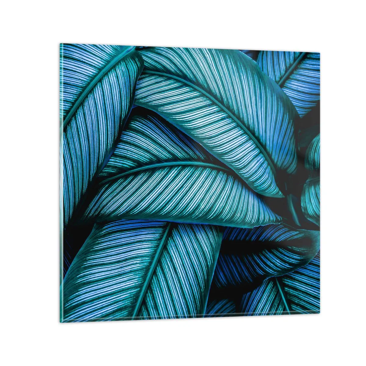 Üveg kép - Életvonalak - 60x60 cm