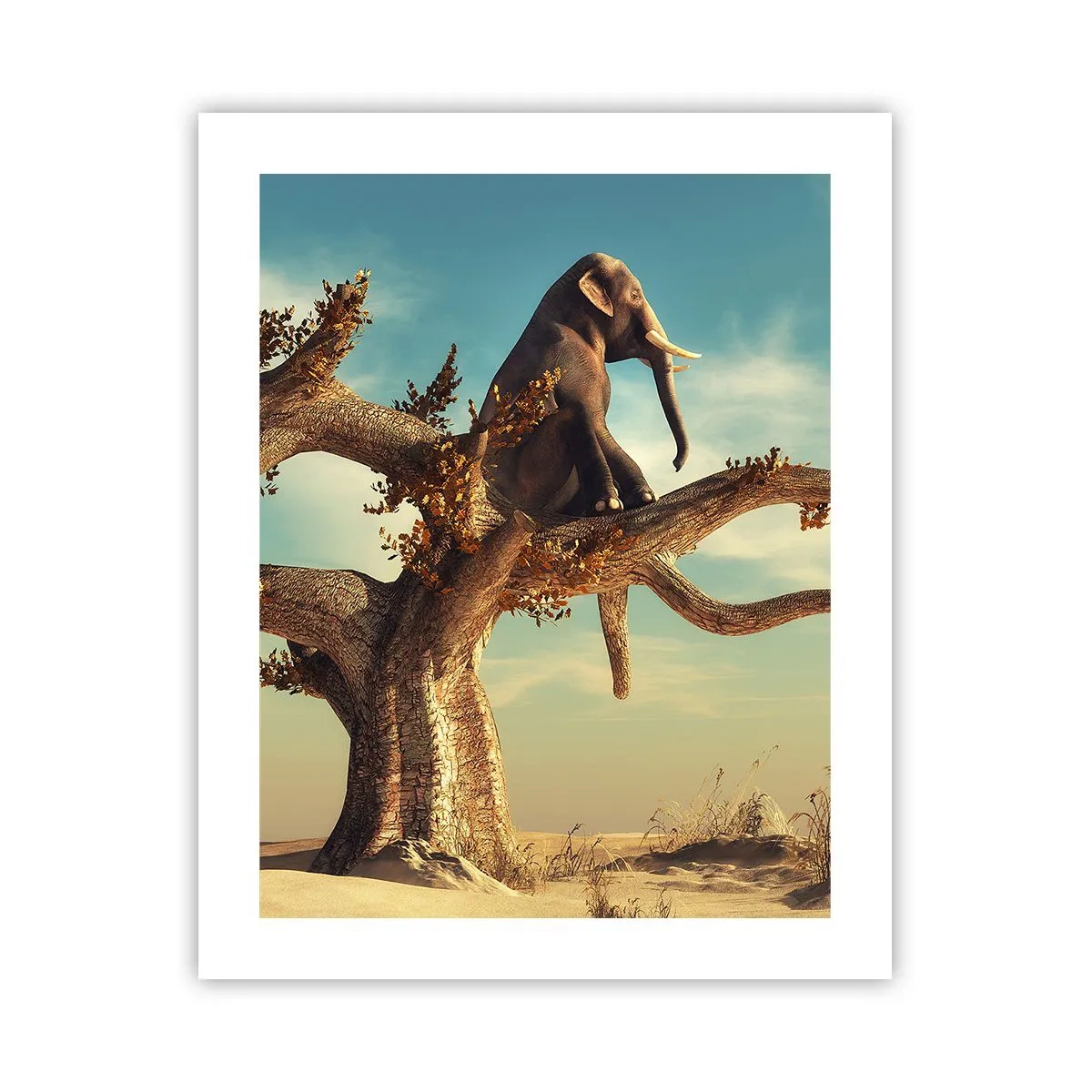 Poszter - Egy új nézőpont - 40x50 cm