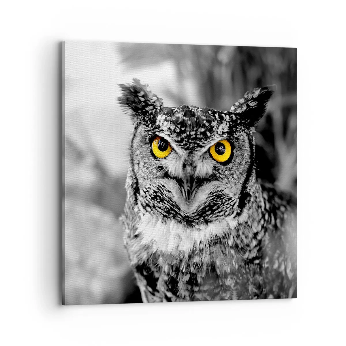 Vászonkép - Semmi sem fog elbújni - 70x70 cm