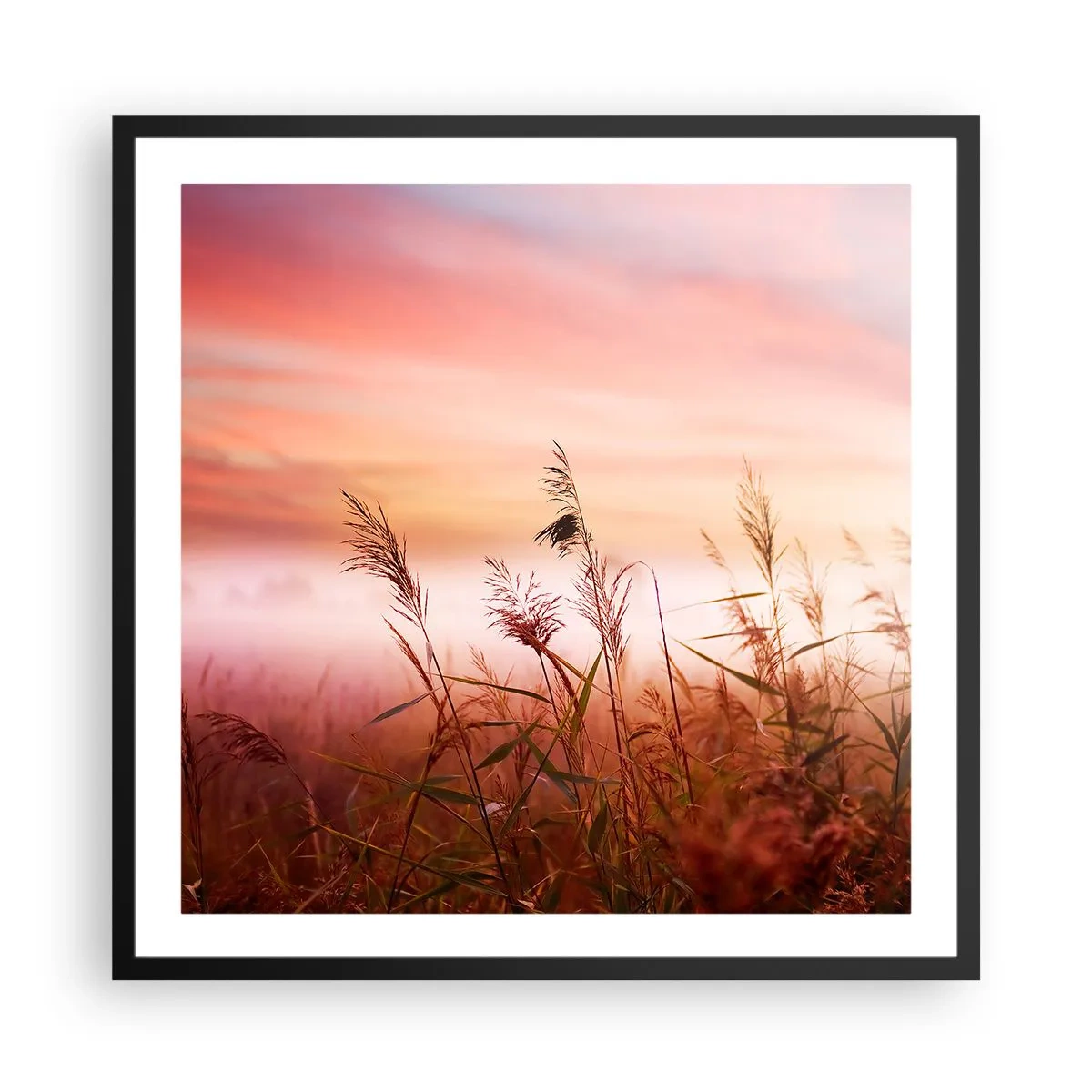 Poszter fehér keretben - Sárkányok, pitypangok, szél - 60x60 cm