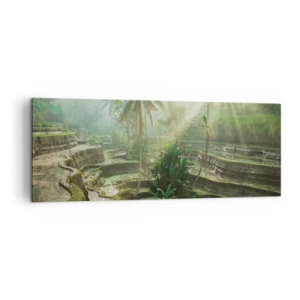 Vászonkép - Felnőni a napon - 140x50 cm