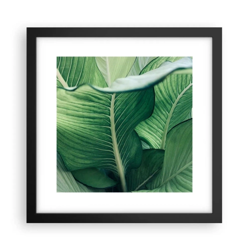 Poszter fehér keretben - Intenzíven zöld élet - 30x30 cm