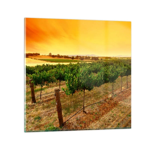 Üveg kép - Inni a napot - 30x30 cm