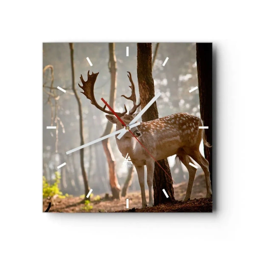 Falióra, Óra - A fiatalság fénye - 30x30 cm