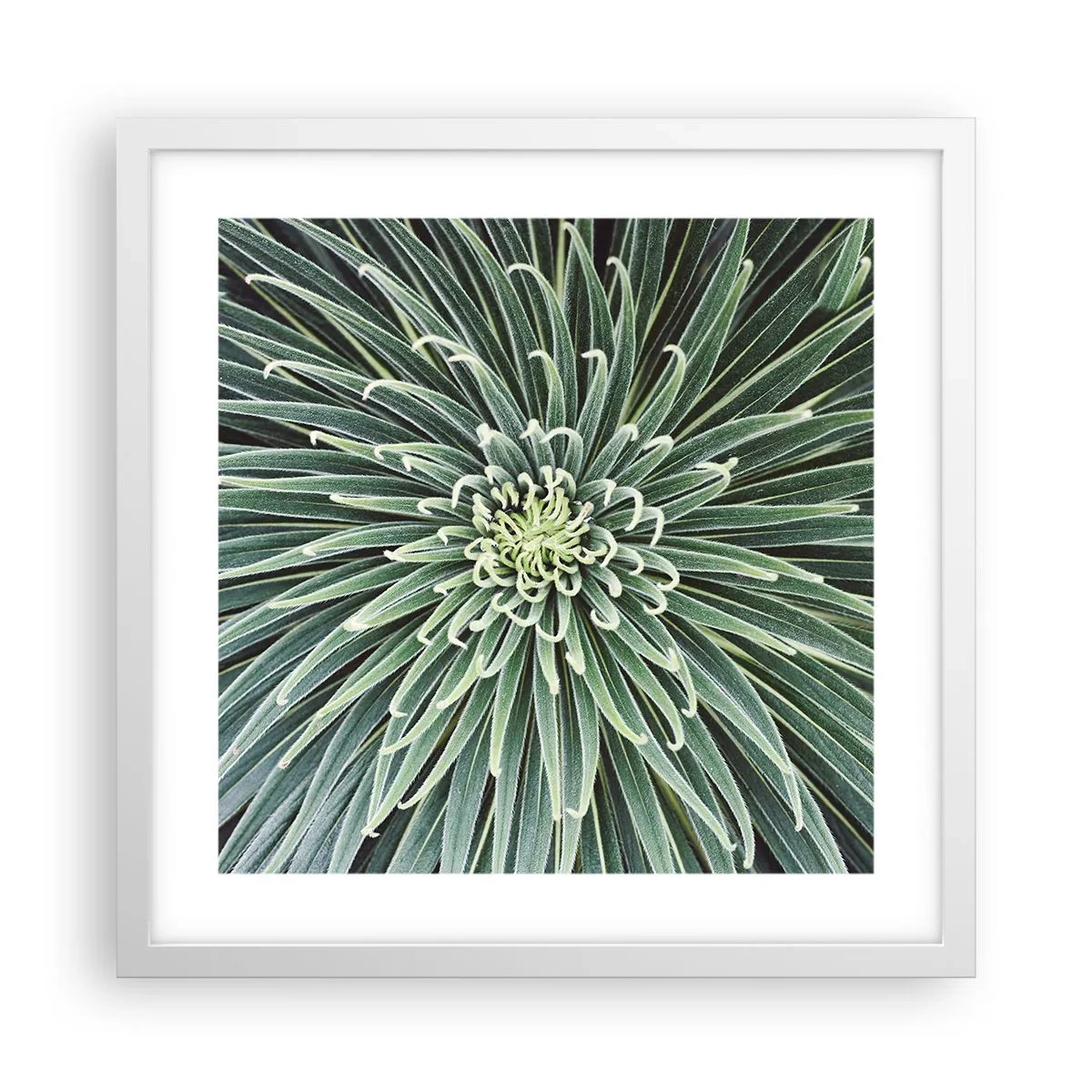 Poszter fekete keretben - Csillag születik - 40x40 cm