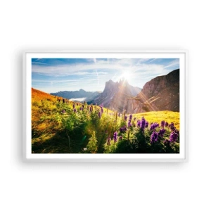 Poszter fekete keretben - A gyógynövények titkos élete - 91x61 cm