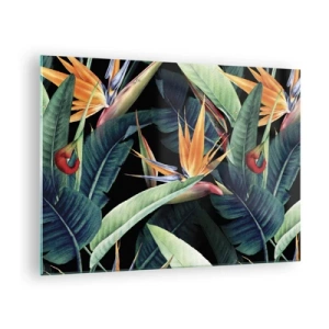 Üveg kép - Strelitzia virágok és trópusi levelek fekete alapon - 70x50cm - A trópusok lángoló virágai - Modern fali dekoráció nappalihoz és hálószobához ARTTOR