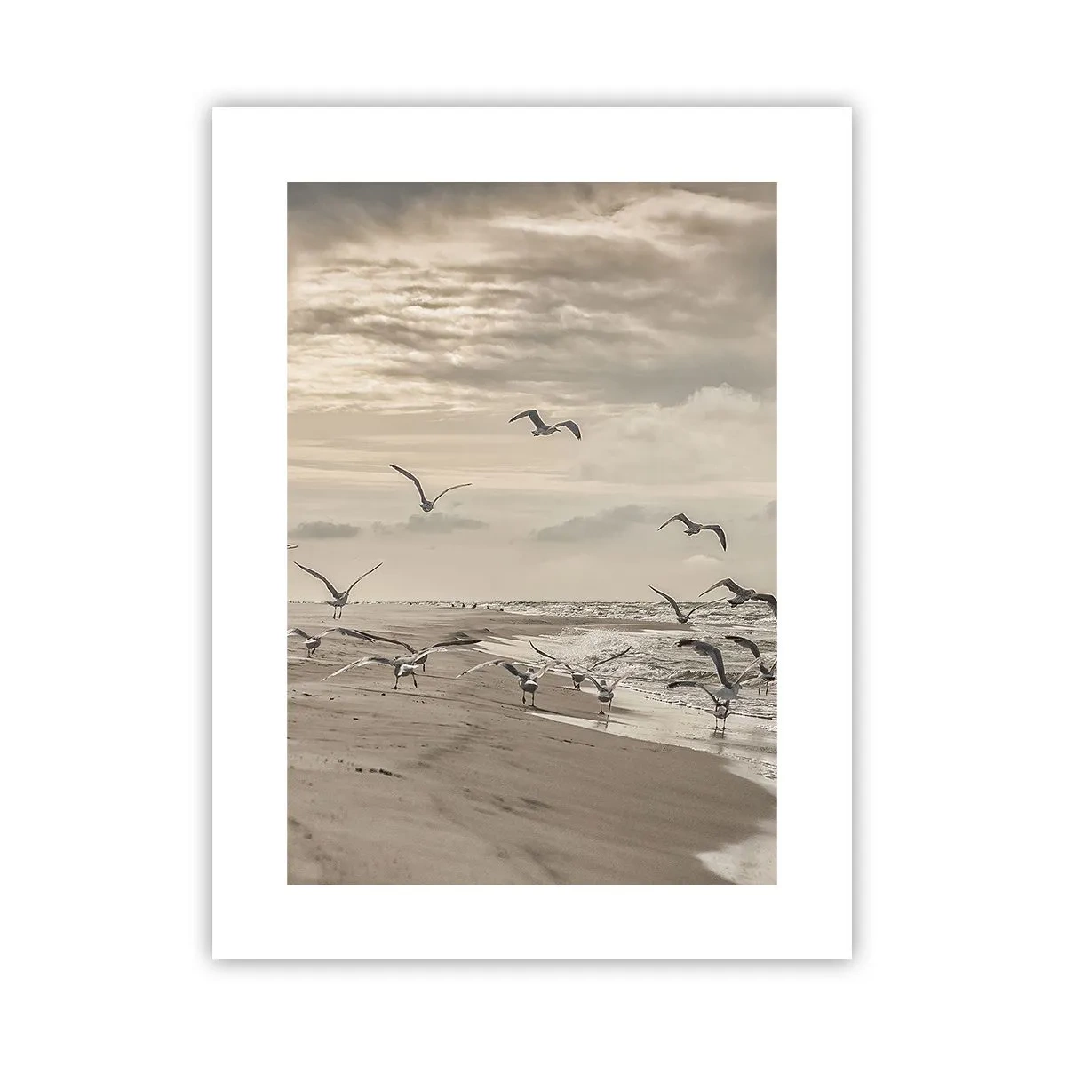 Poszter - A tenger hangja, a madarak éneke - 30x40 cm