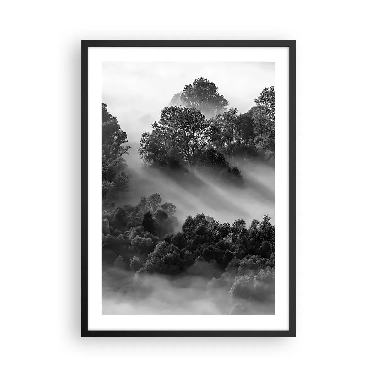 Poszter fehér keretben - Ködös erdő fekete-fehér árnyalatokban - 50x70cm -  Az álomból felkelő - Modern fali dekoráció nappalihoz és hálószobához ARTTOR