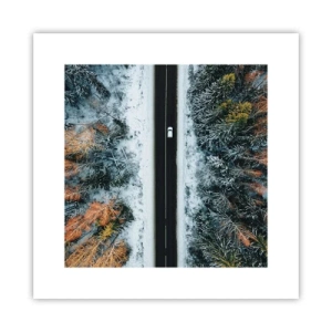 Poszter - Átvágni a téli erdőn - 30x30 cm