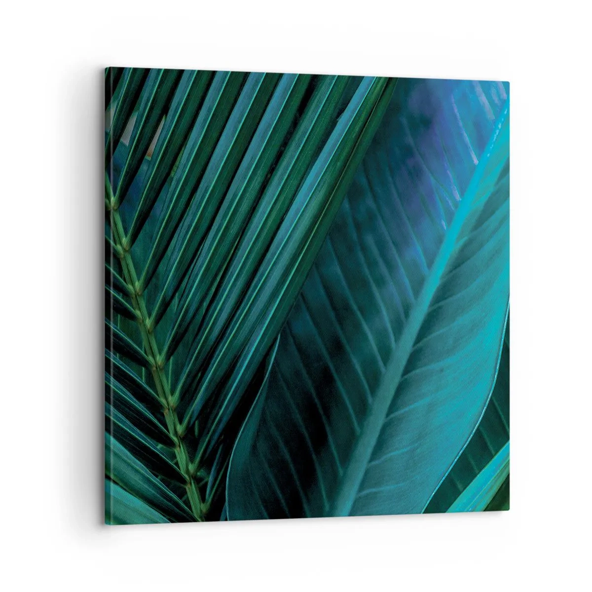 Vászonkép - A zöld anatómiája - 60x60 cm