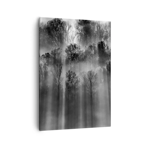 Vászonkép - Fénypatakokban - 50x70 cm