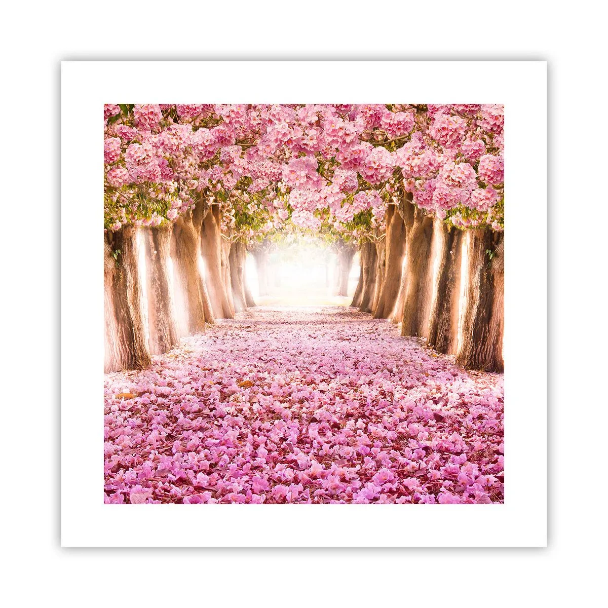 Poszter - Út a paradicsomba - 40x40 cm