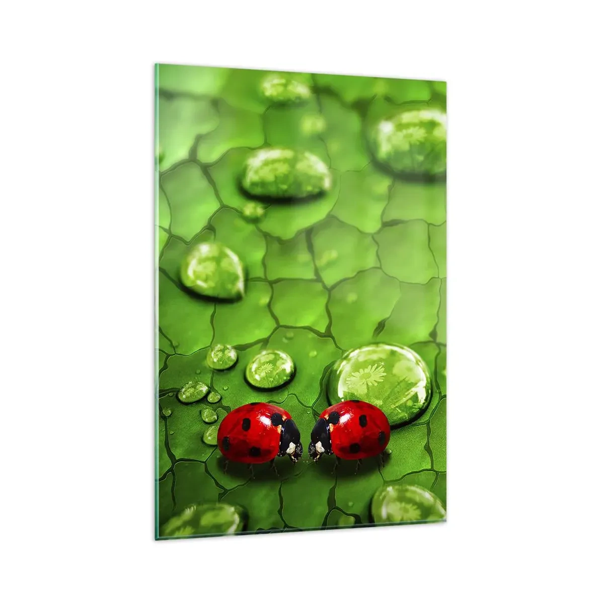 Üveg kép - Találkozás a zöldben - 80x120 cm