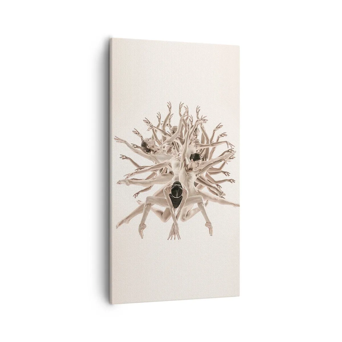 Vászonkép - Virágzás a táncban - 55x100 cm