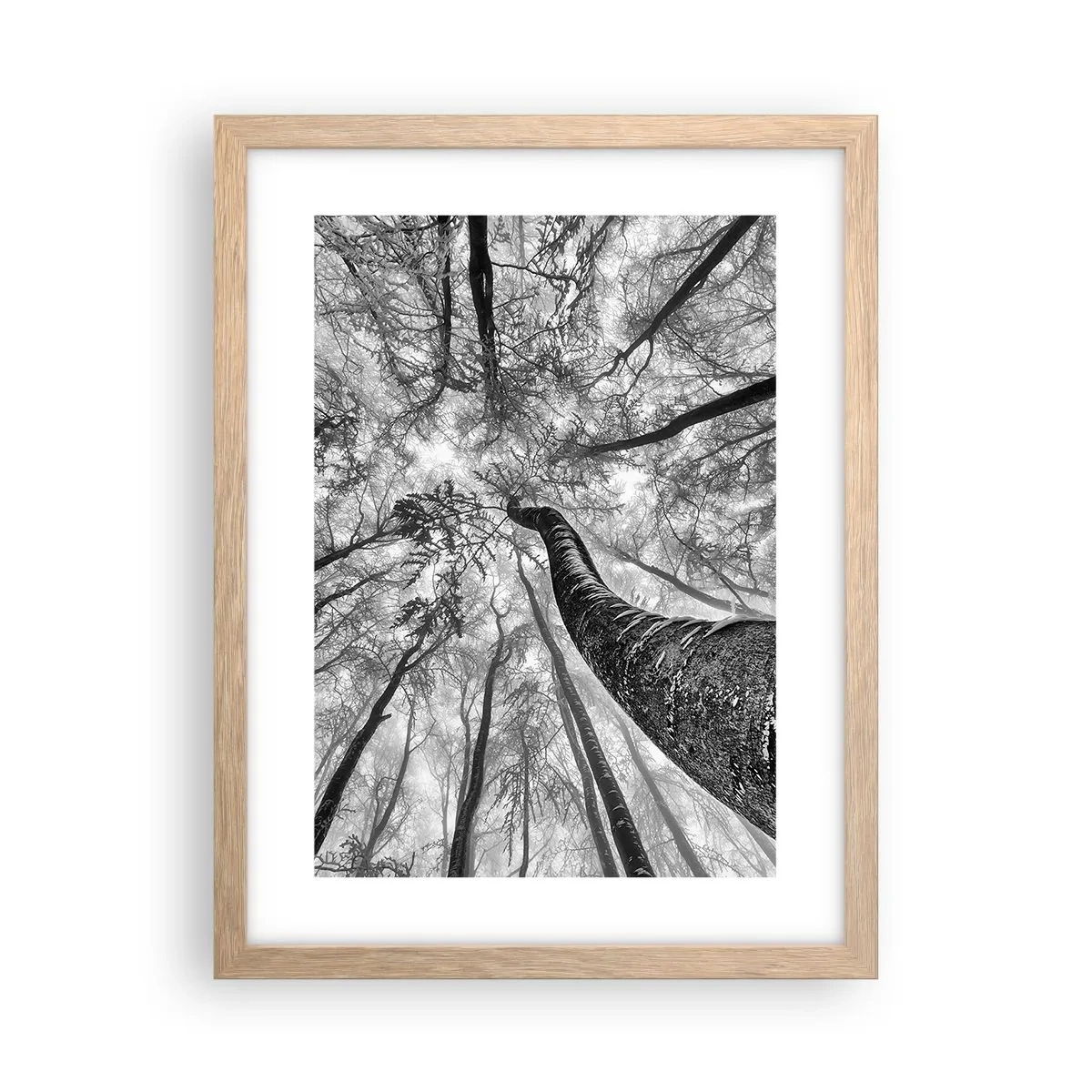Poszter világos tölgy keretben - Verseny a fény felé - 30x40 cm